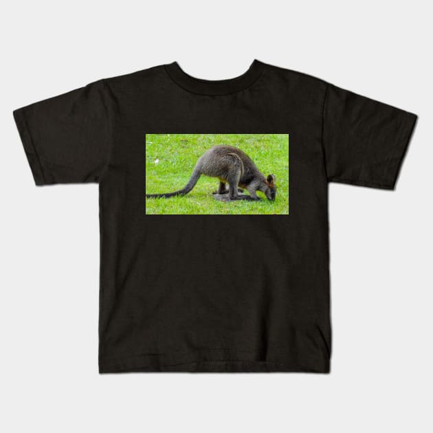 Swamp Wallaby Kids T-Shirt by Upbeat Traveler